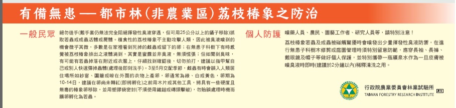 非農業區荔枝椿象防治宣導